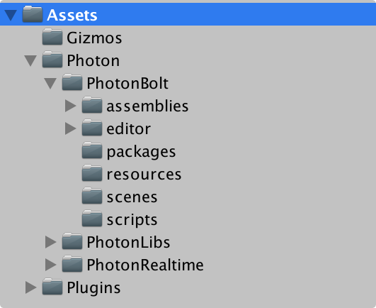 Bolt Folder on Unity Assets
